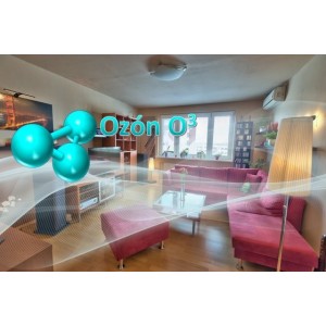 Půjčení na 24 hodin - Ozonový generátor - 5 000 mg/h - 65W